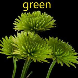 Hand pick fashions just for you !